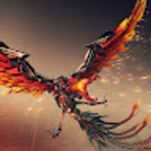 Meet your Posher, Yannick